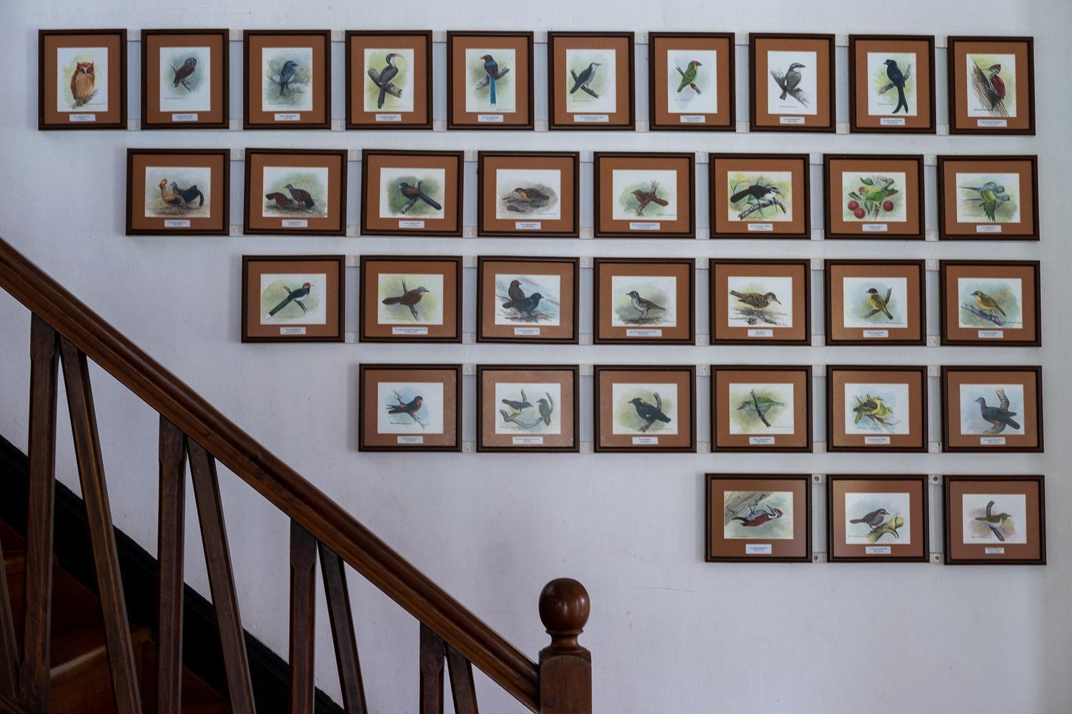 Horathapola Estate Hotel Marawila Bagian luar foto